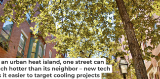 A tree canopy can make a big difference in temperature for people on the street below. The challenge is getting trees where they’re needed most. Andrey Denisyuk/Moment via Getty Images